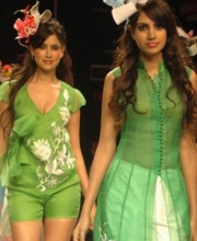 Parul and Ashie's Collection